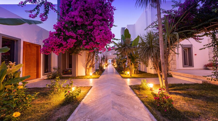 Moyo Beach Hotel