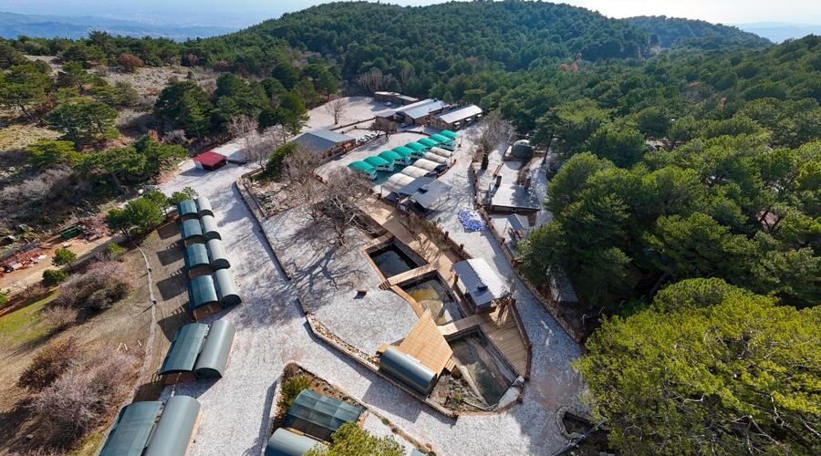 Mas Kazdağı Kamping
