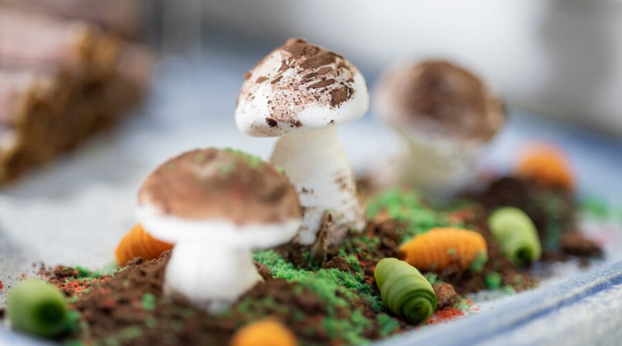 Selge Beach Resort & Spa