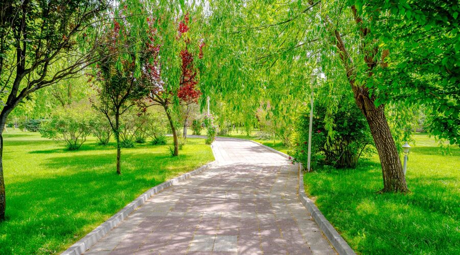 Korel Thermal Resort Clinic & Spa
