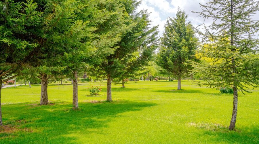 Korel Thermal Resort Clinic & Spa
