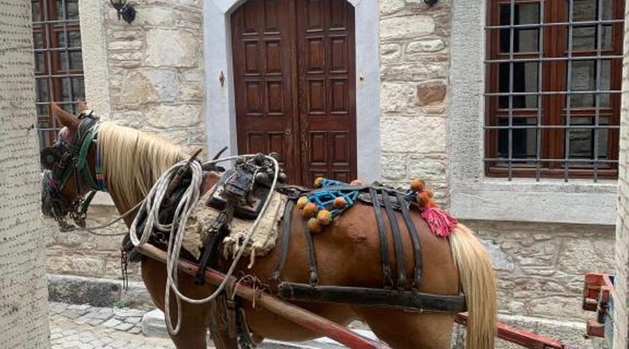 Derviş Bey Konağı