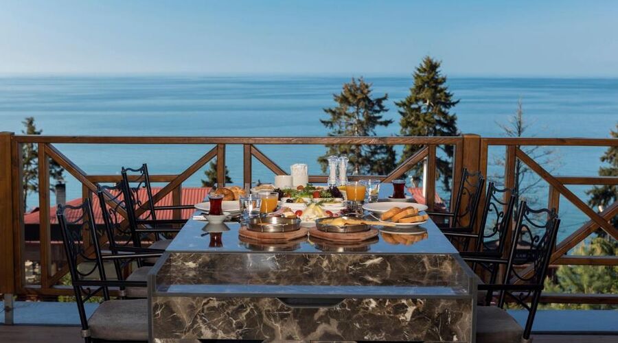 Hancıoğlu Çamburnu Orman Evleri & Otel