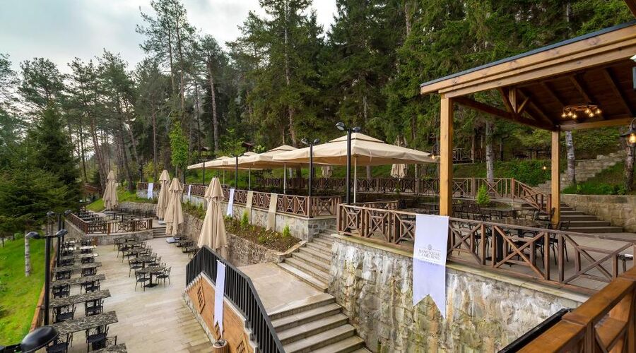 Hancıoğlu Çamburnu Orman Evleri & Otel