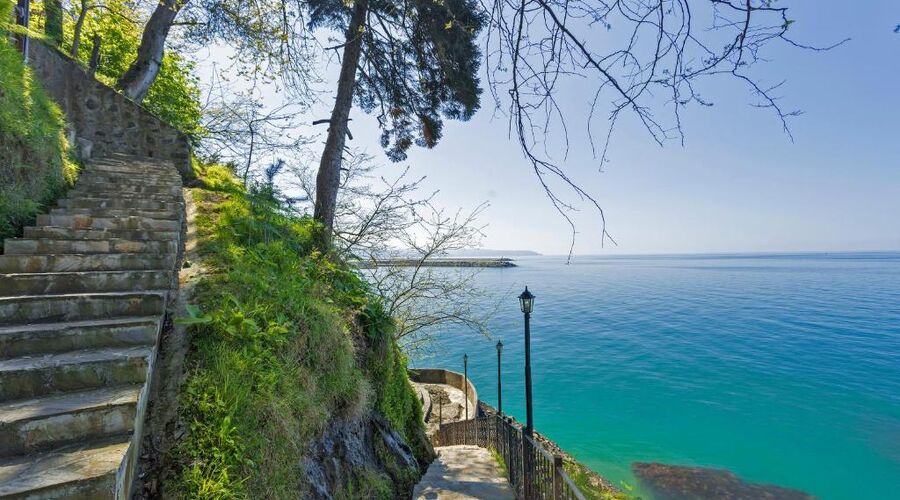 Hancıoğlu Çamburnu Orman Evleri & Otel