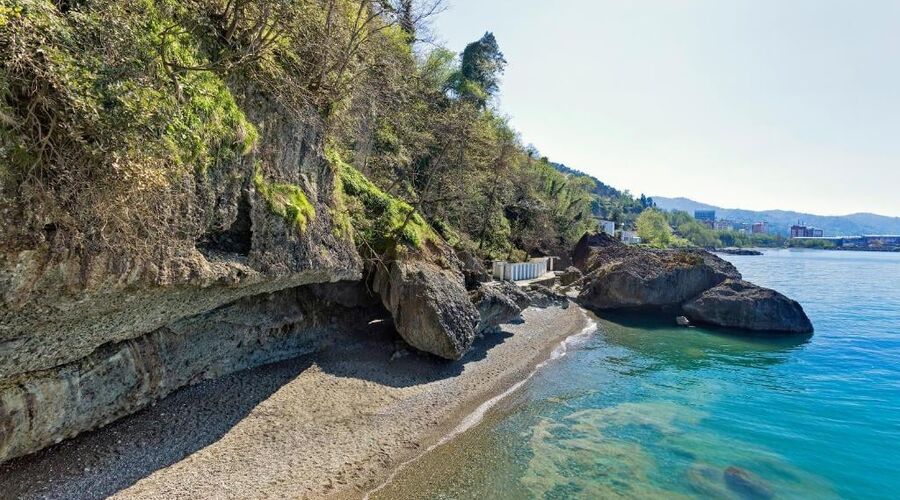 Hancıoğlu Çamburnu Orman Evleri & Otel