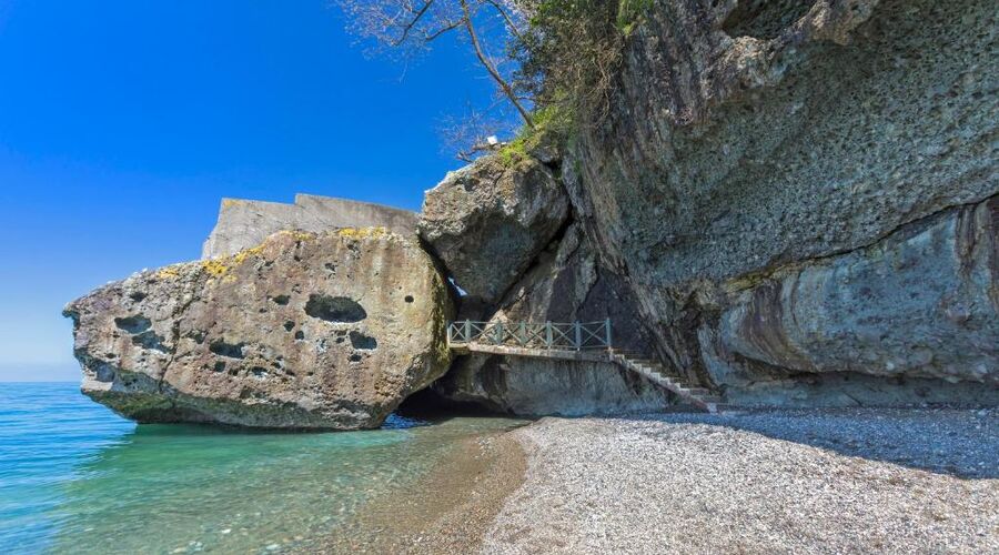 Hancıoğlu Çamburnu Orman Evleri & Otel