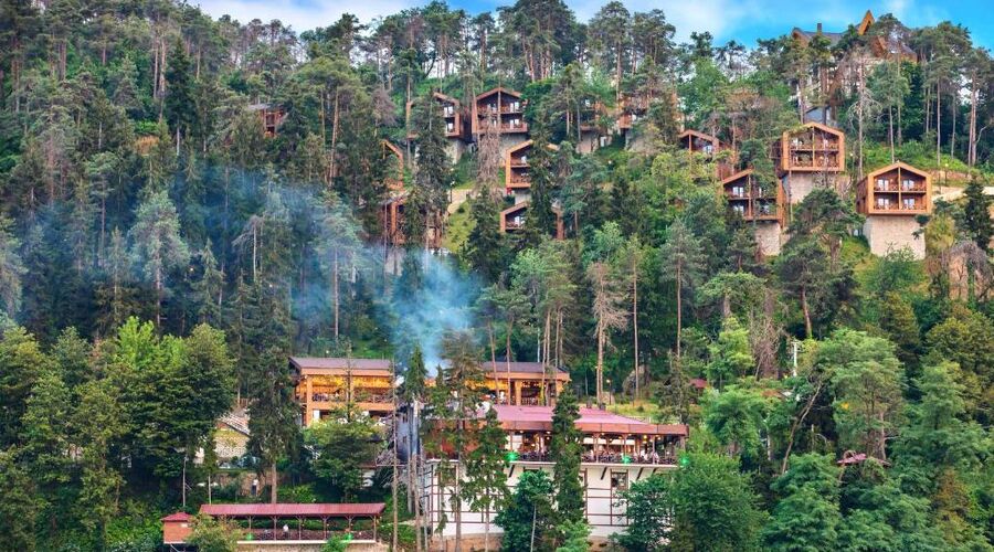 Hancıoğlu Çamburnu Orman Evleri & Otel