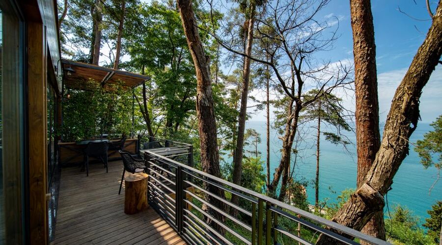 Hancıoğlu Çamburnu Orman Evleri & Otel