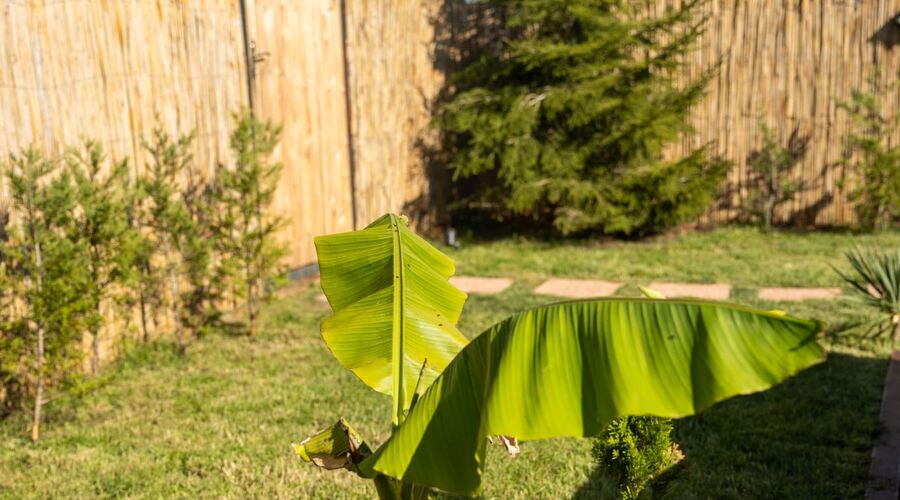 TolSoo Wooden House 2