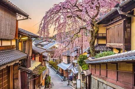 Japonya Kore Turu 2025 10 Gece – 12 Gün Asiana Hava Yolları ile Herşey Dahil